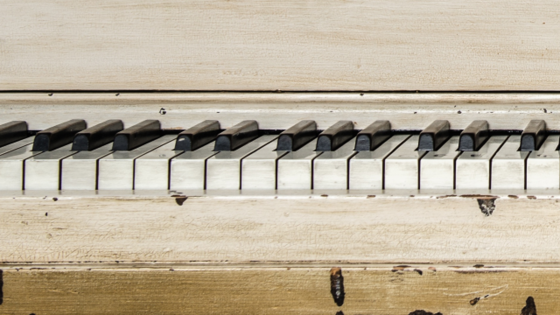 cropped-am_header2019-1.png